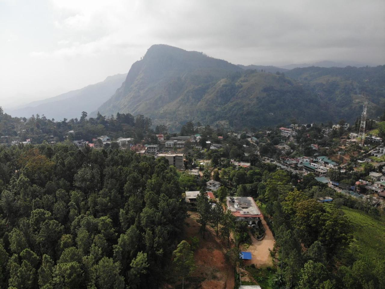 Forest Paddy Homestay Ella Esterno foto